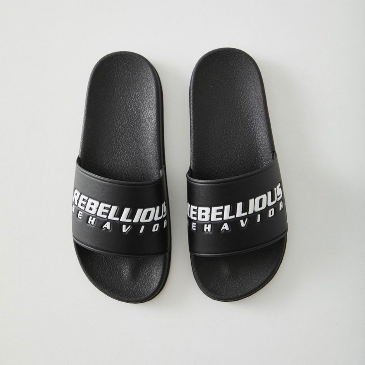 RBLS SP LOGO SLIDE