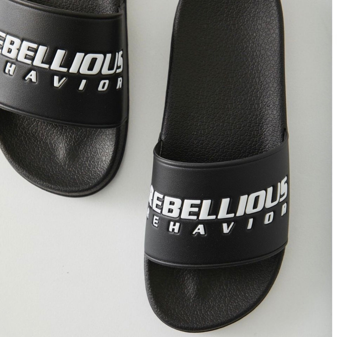 RBLS SP LOGO SLIDE