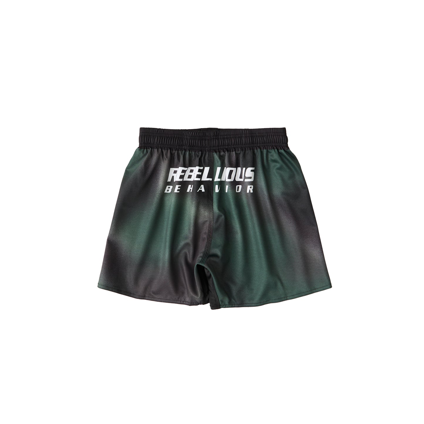 RBLS BRUSH CAMO FIGHT SHORTS (2月上旬発送)